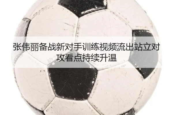 张伟丽备战新对手训练视频流出站立对攻看点持续升温